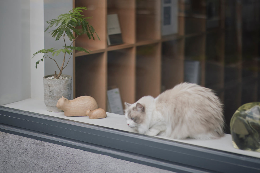 新製品「Koubako Neko / Koubako Koneko」発売のお知らせ