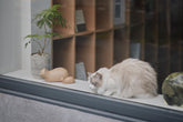 Koubako Neko